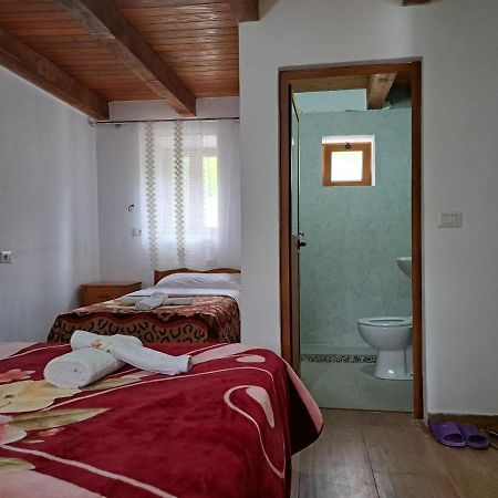 טת Guesthouse Te Tata מראה חיצוני תמונה