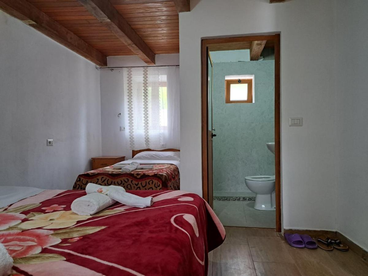 טת Guesthouse Te Tata מראה חיצוני תמונה